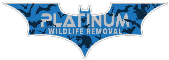 Wildlife Removal Salem